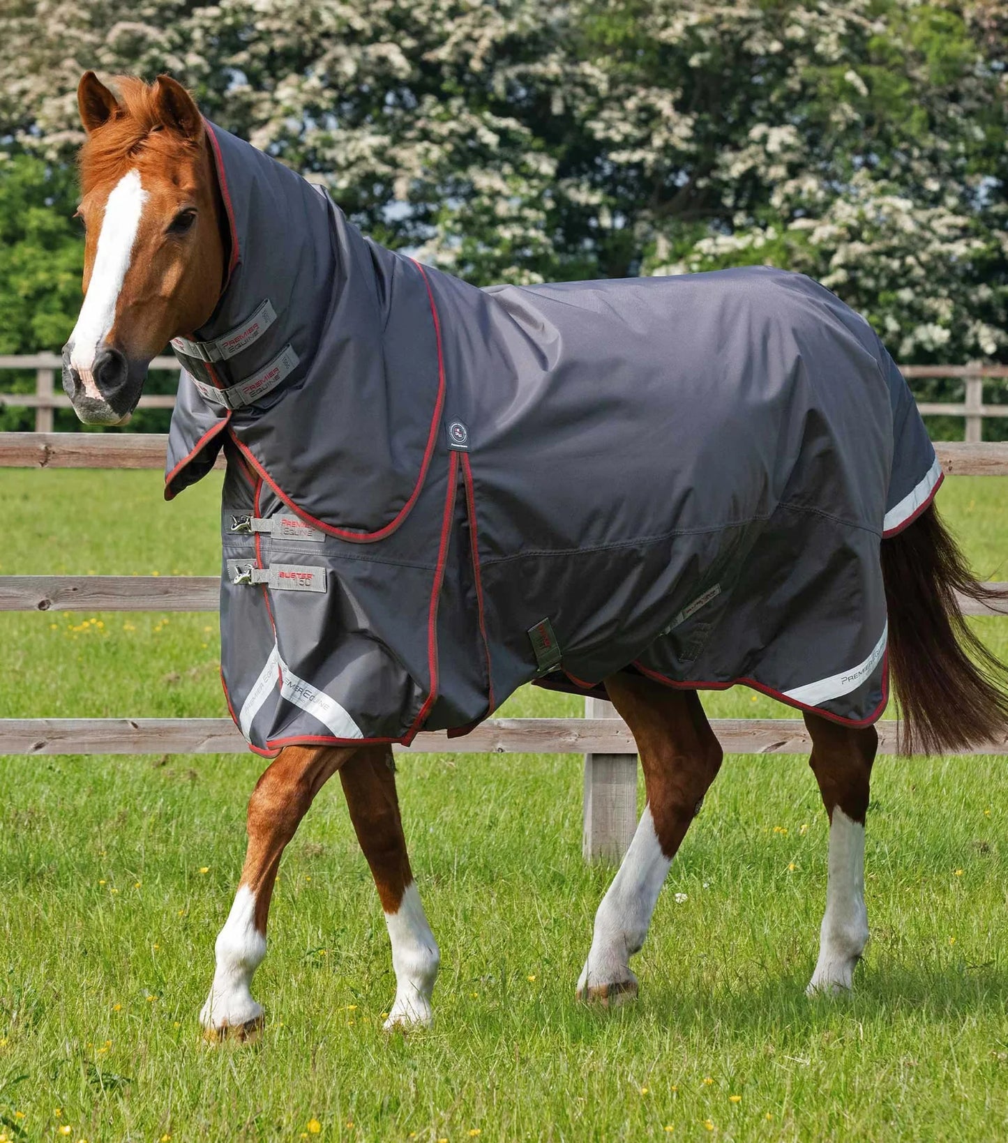 Couverture d'extérieur PREMIER EQUINE "BUSTER 840D" 150g avec couvre-cou classique amovible