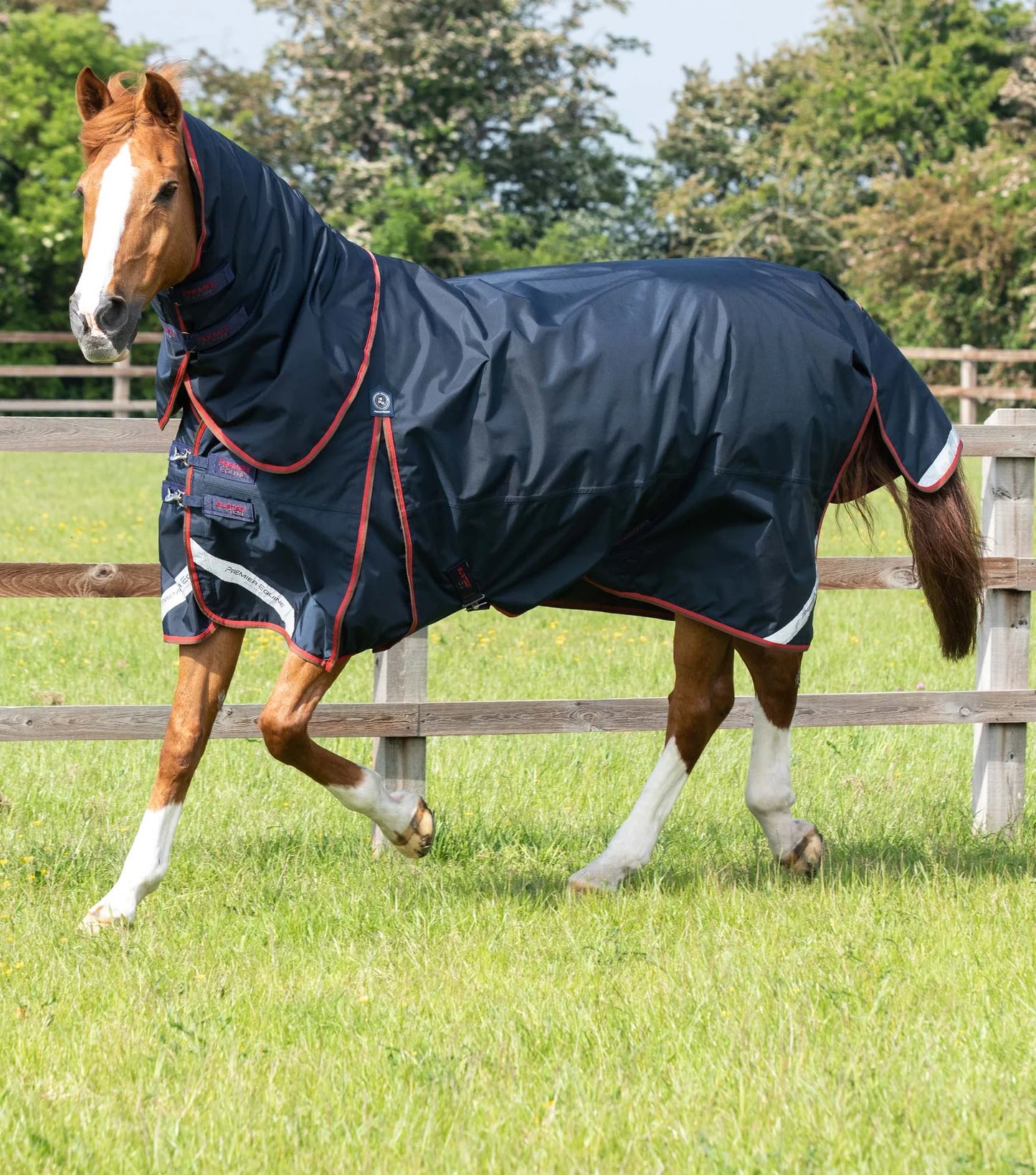 Couverture d'extérieur PREMIER EQUINE "BUSTER 840D" 150g avec couvre-cou classique amovible