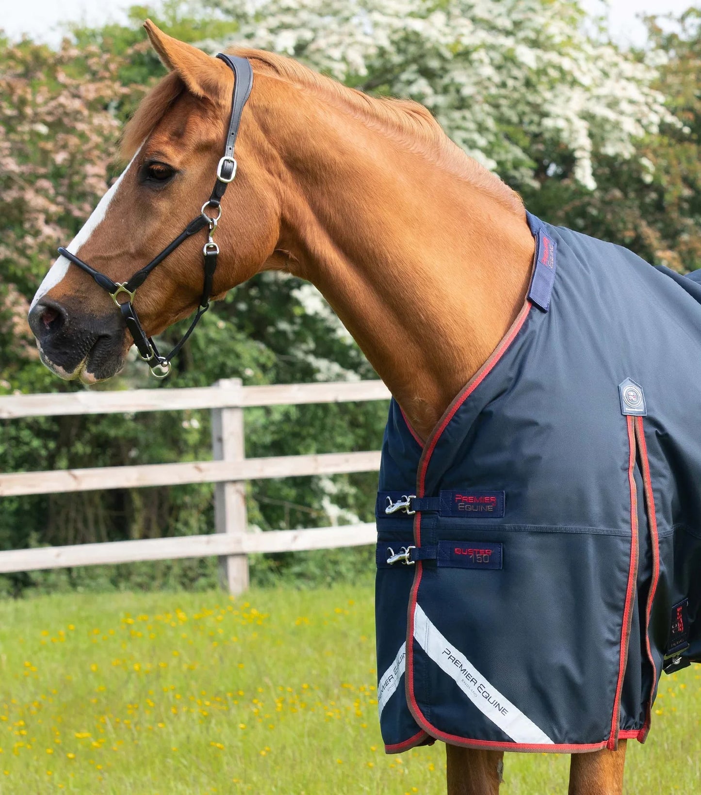 Couverture d'extérieur PREMIER EQUINE "BUSTER 840D" 150g avec couvre-cou classique amovible