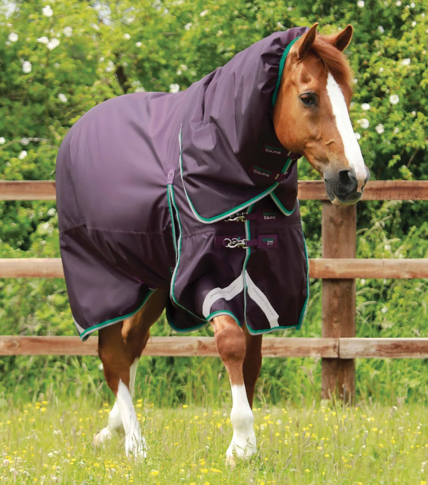 Couverture d'extérieur PREMIER EQUINE "BUSTER 840D" 200g avec couvre-cou ajusté amovible