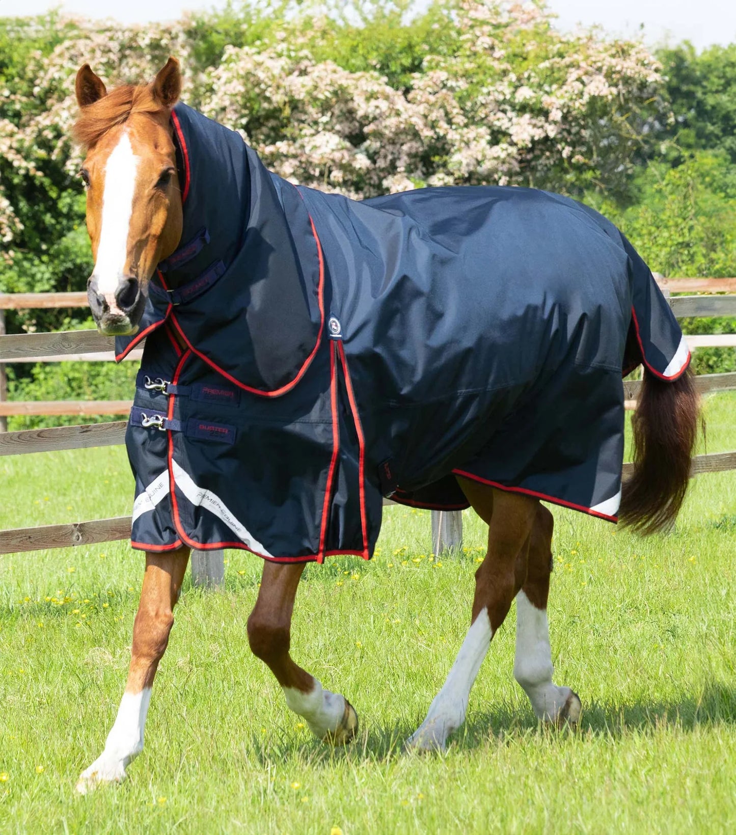 Couverture d'extérieur PREMIER EQUINE "BUSTER 840D" 250g avec couvre-cou classique amovible