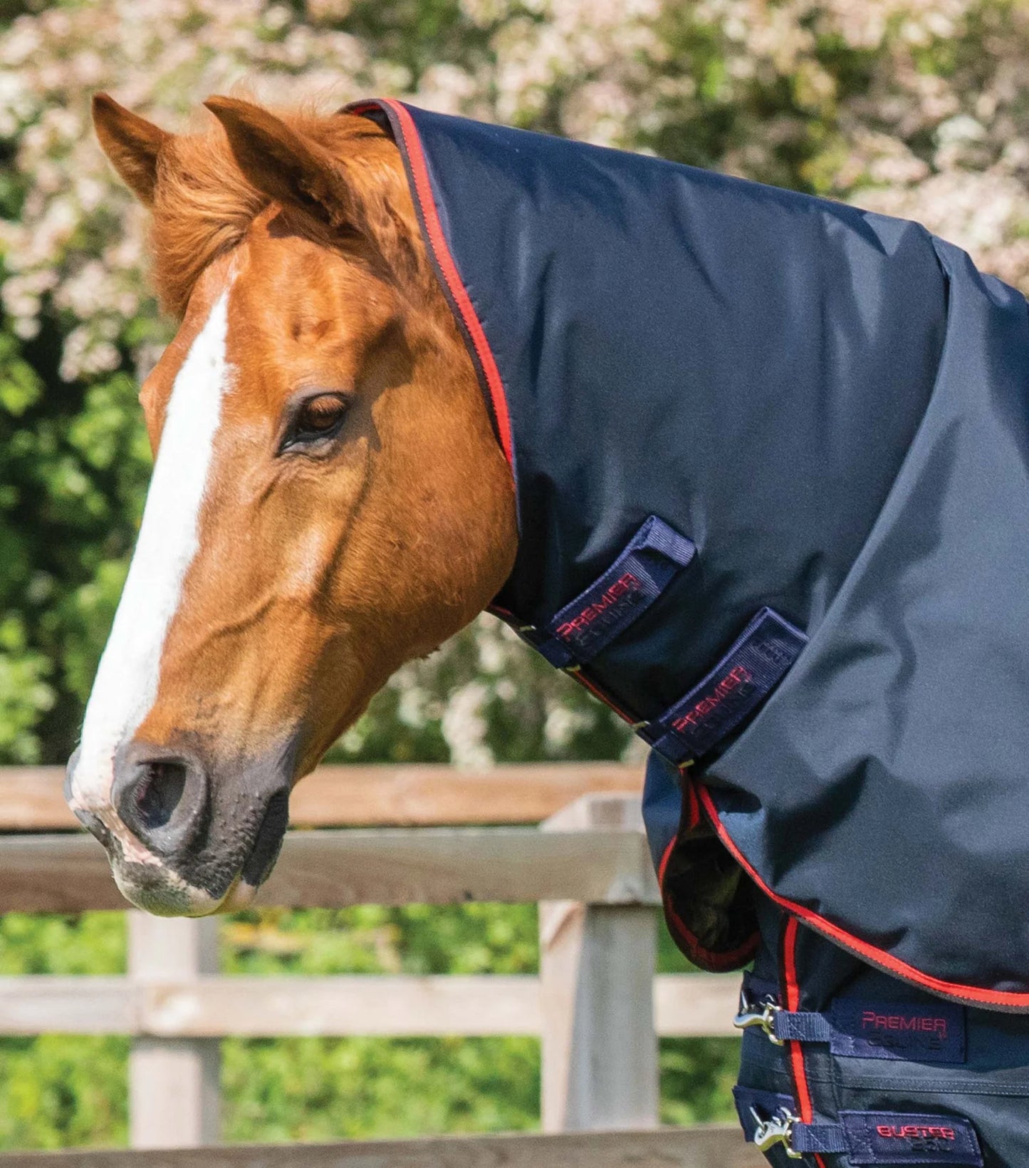 Couverture d'extérieur PREMIER EQUINE "BUSTER 840D" 250g avec couvre-cou classique amovible