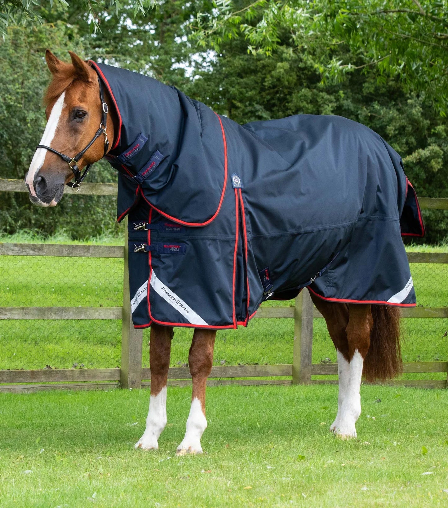 Couverture d'extérieur PREMIER EQUINE "BUSTER 840D" 420g  avec couvre-cou classique amovible