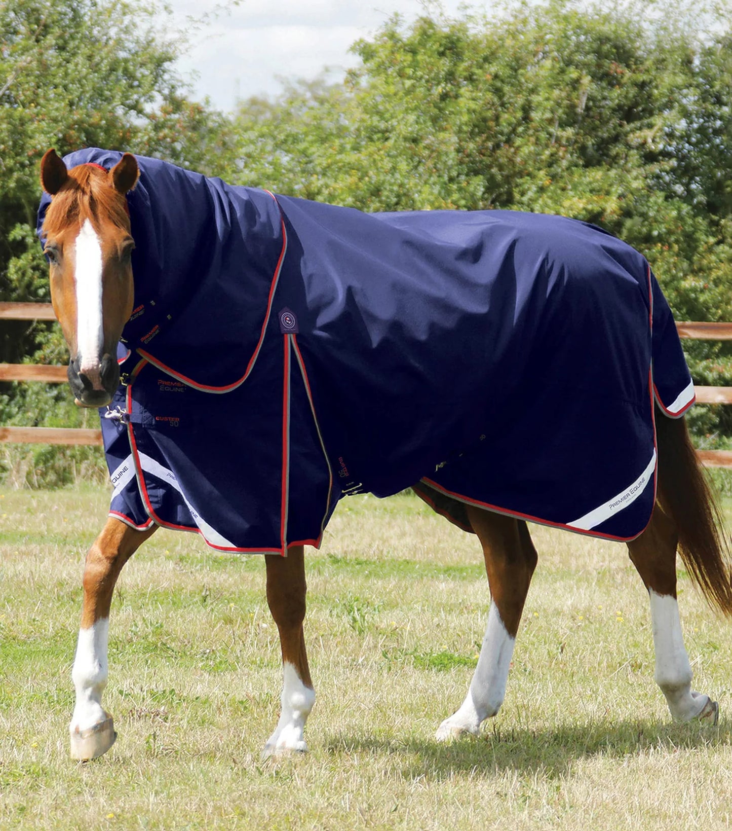 Couverture d'extérieur PREMIER EQUINE "BUSTER 840D" 50g avec couvre-cou ajusté amovible