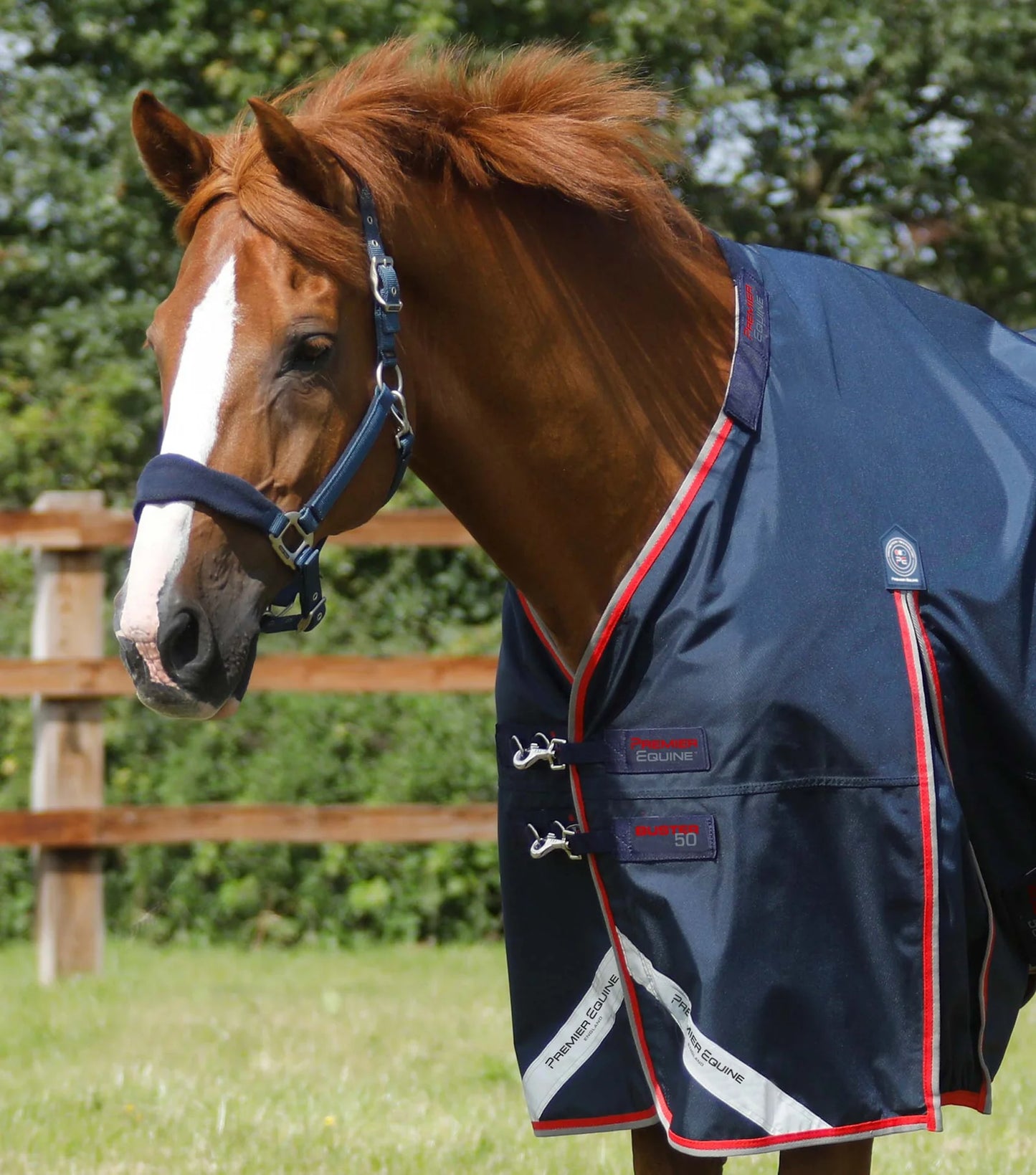 Couverture d'extérieur PREMIER EQUINE "BUSTER 840D" 50g avec couvre-cou ajusté amovible