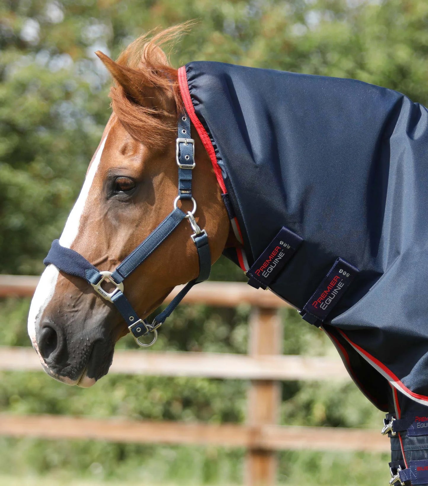 Couverture d'extérieur PREMIER EQUINE "BUSTER 840D" 50g avec couvre-cou ajusté amovible