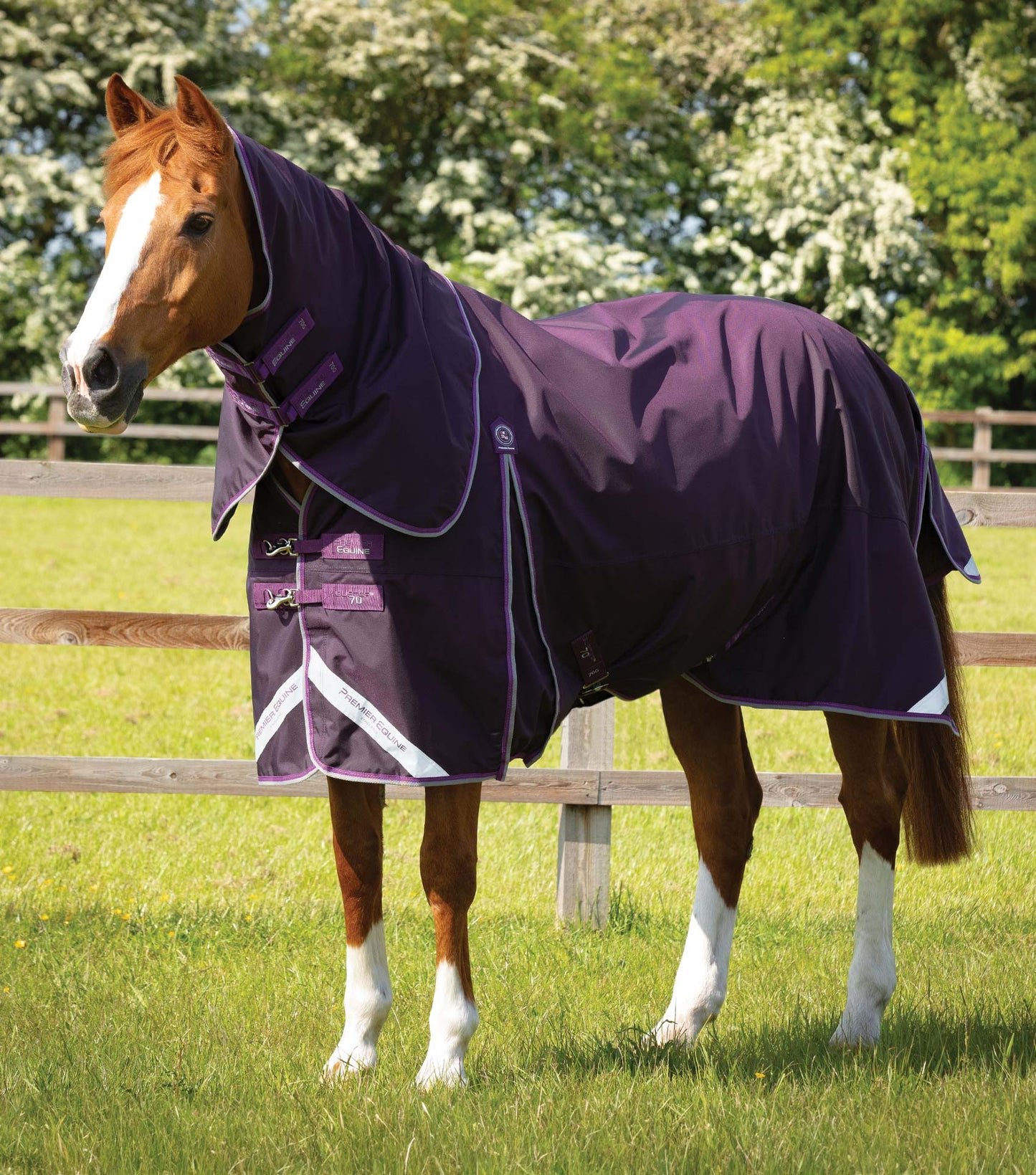 Couverture d'extérieur PREMIER EQUINE "BUSTER 840D" 70g avec couvre-cou classique amovible