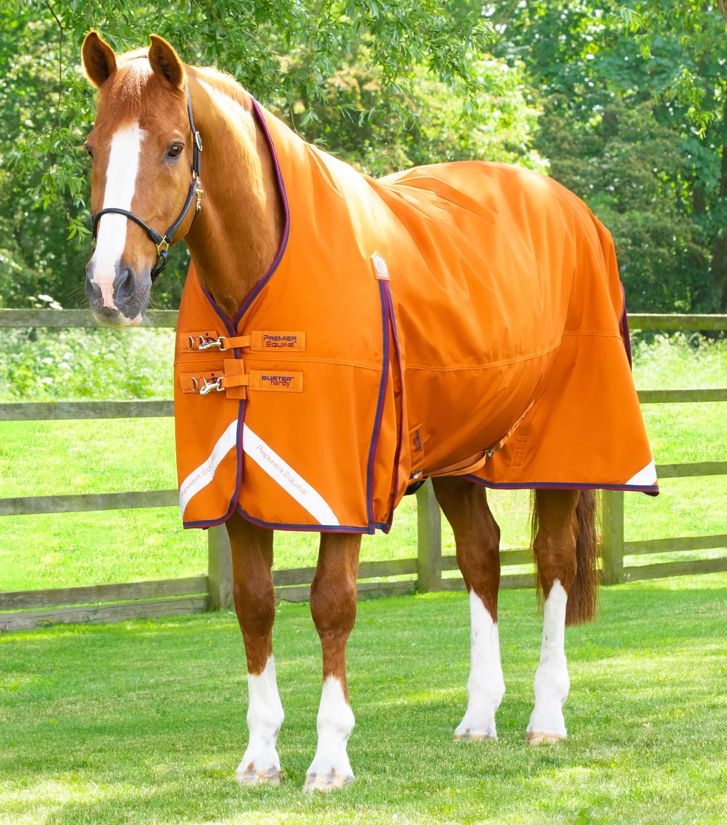 Couverture d'extérieur PREMIER EQUINE "BUSTER 840D" Hardy 200g col montant