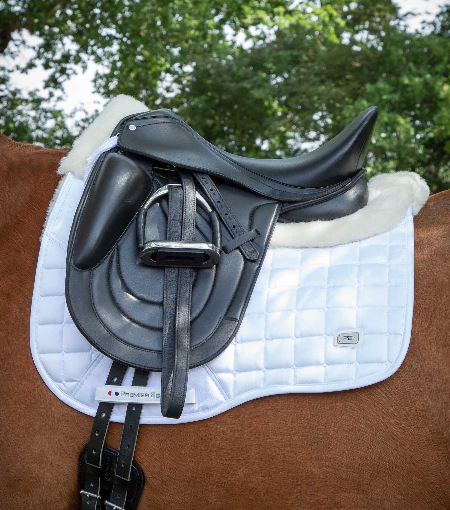 Selle de dressage mono-quartier PREMIER EQUINE Bletchley en synthétique