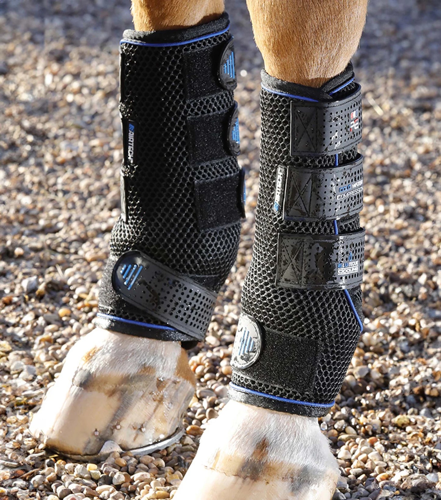 Guêtres de compression refroidissantes PREMIER EQUINE "Cold Water"