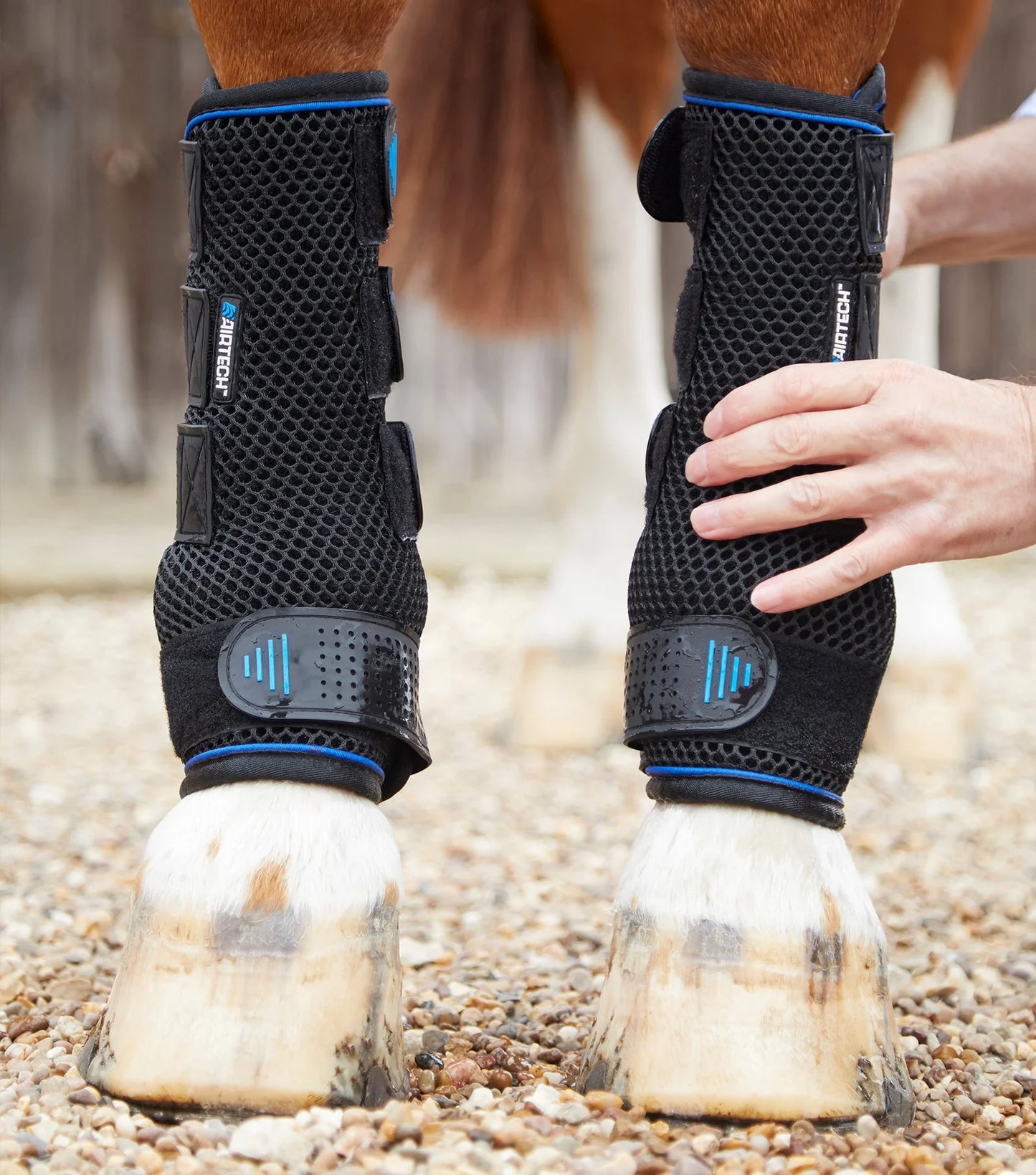 Guêtres de compression refroidissantes PREMIER EQUINE "Cold Water"