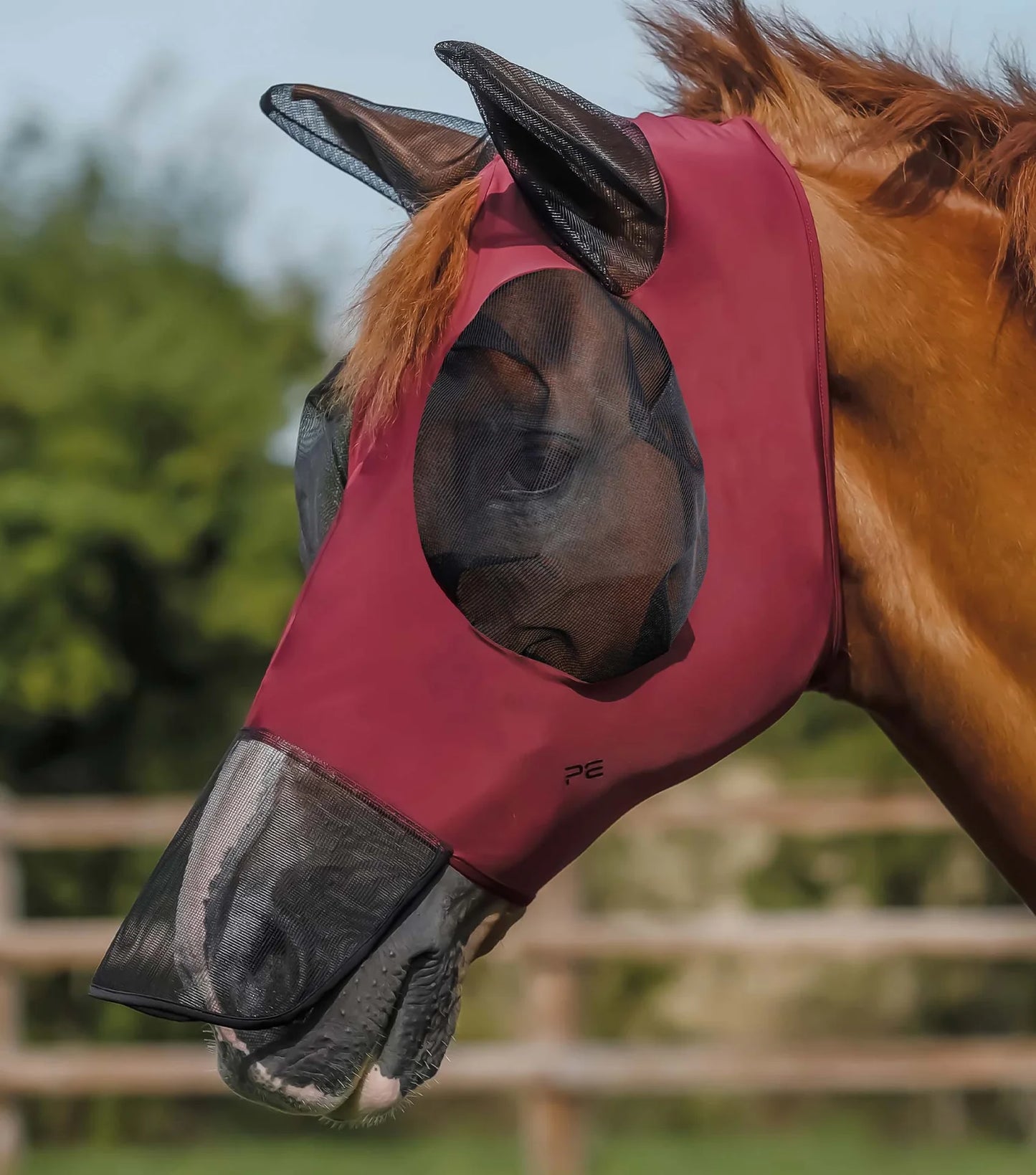 Masques anti-mouches PREMIER EQUINE avec filet nasal