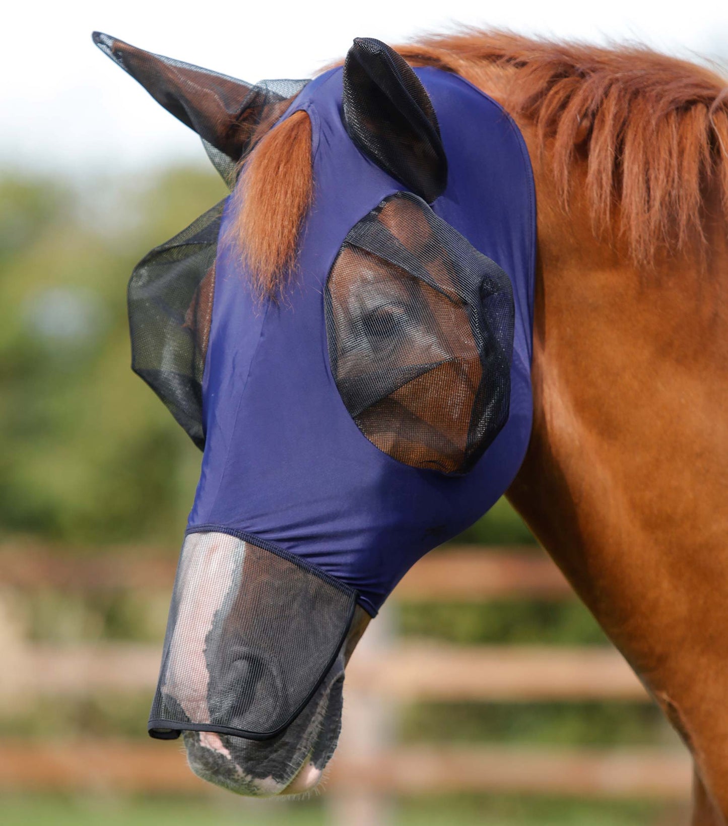 Masques anti-mouches PREMIER EQUINE avec filet nasal