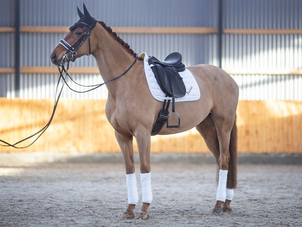 DEV02 – Selle de dressage Evolution double quartier