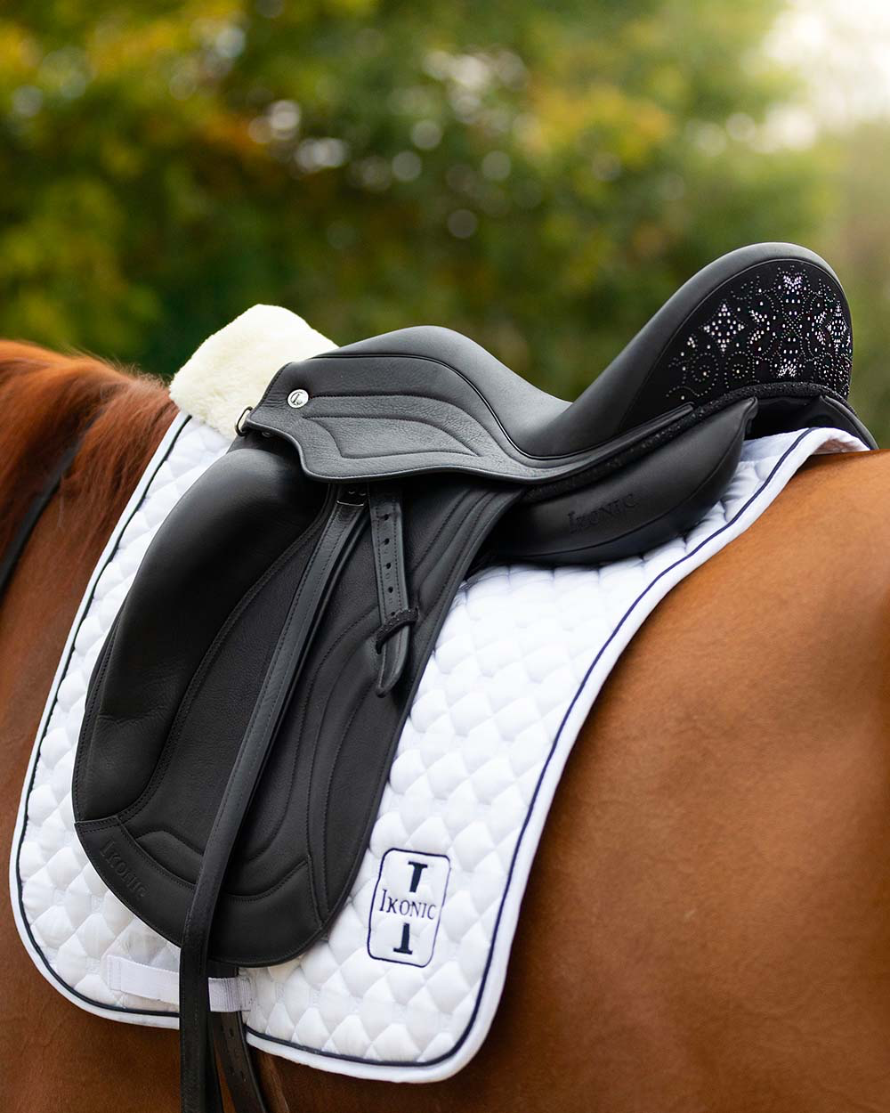DEV08 - Evolution Selle De Dressage