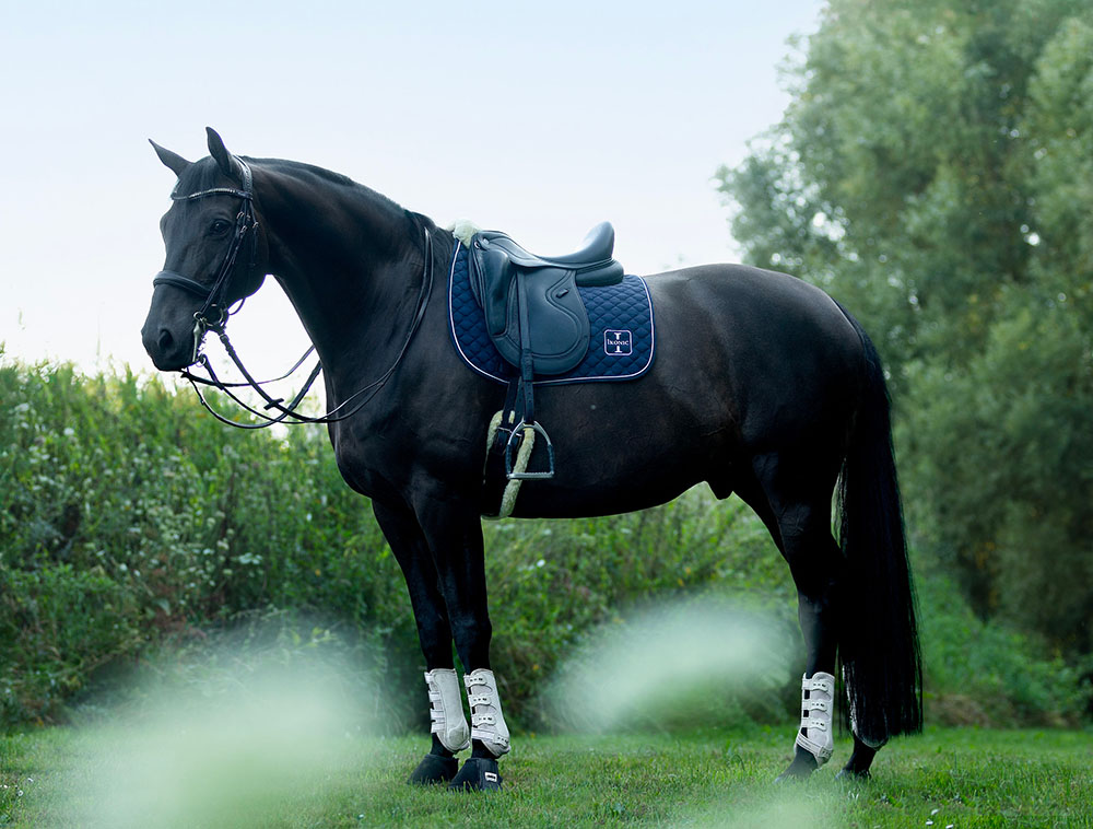 DHY03 H+ Selle de Dressage Light Monoquartier