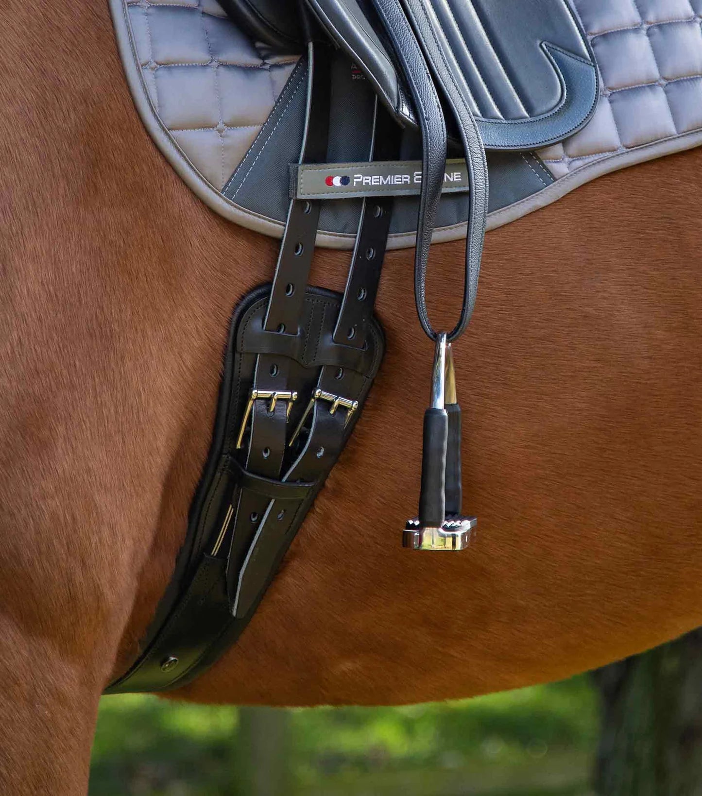 Sangle courte en cuir PREMIER EQUINE Davoli