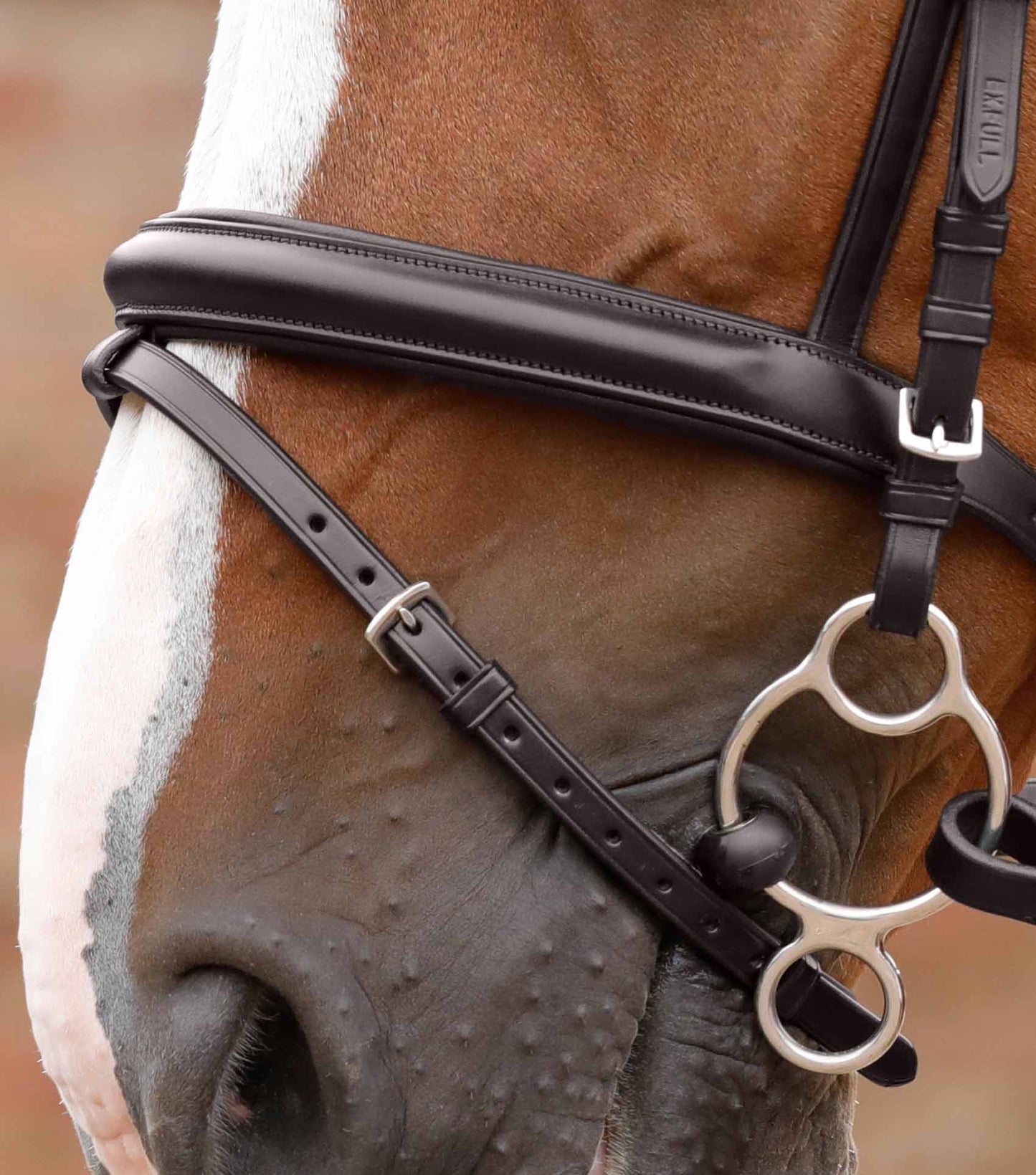 Bridon PREMIER EQUINE Delizioso