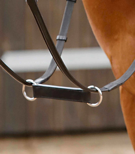 Martingale Irlandaise PREMIER EQUINE Esperia