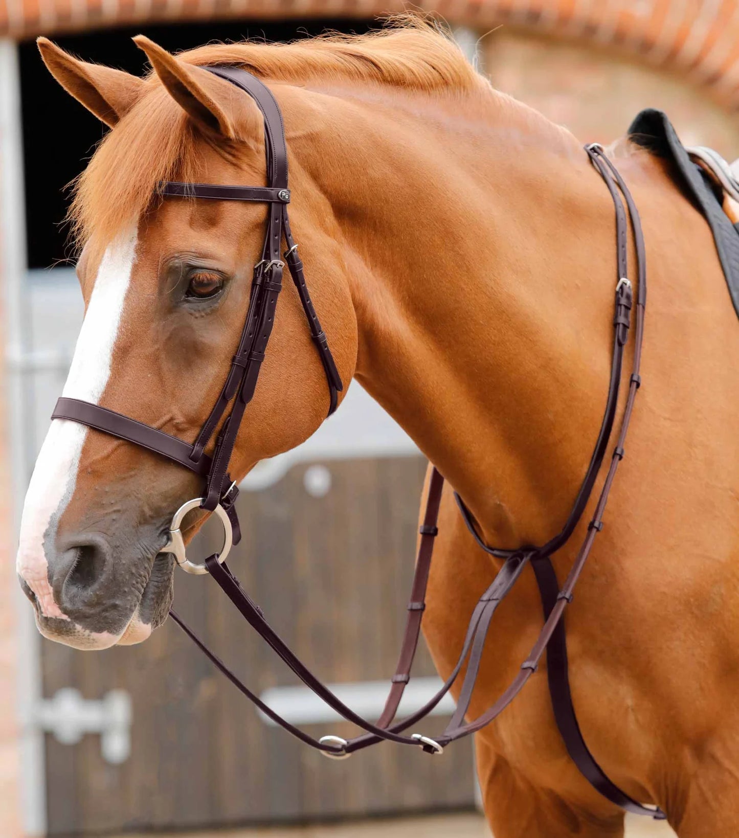 Martingale coulissante PREMIER EQUINE Fuscaldo