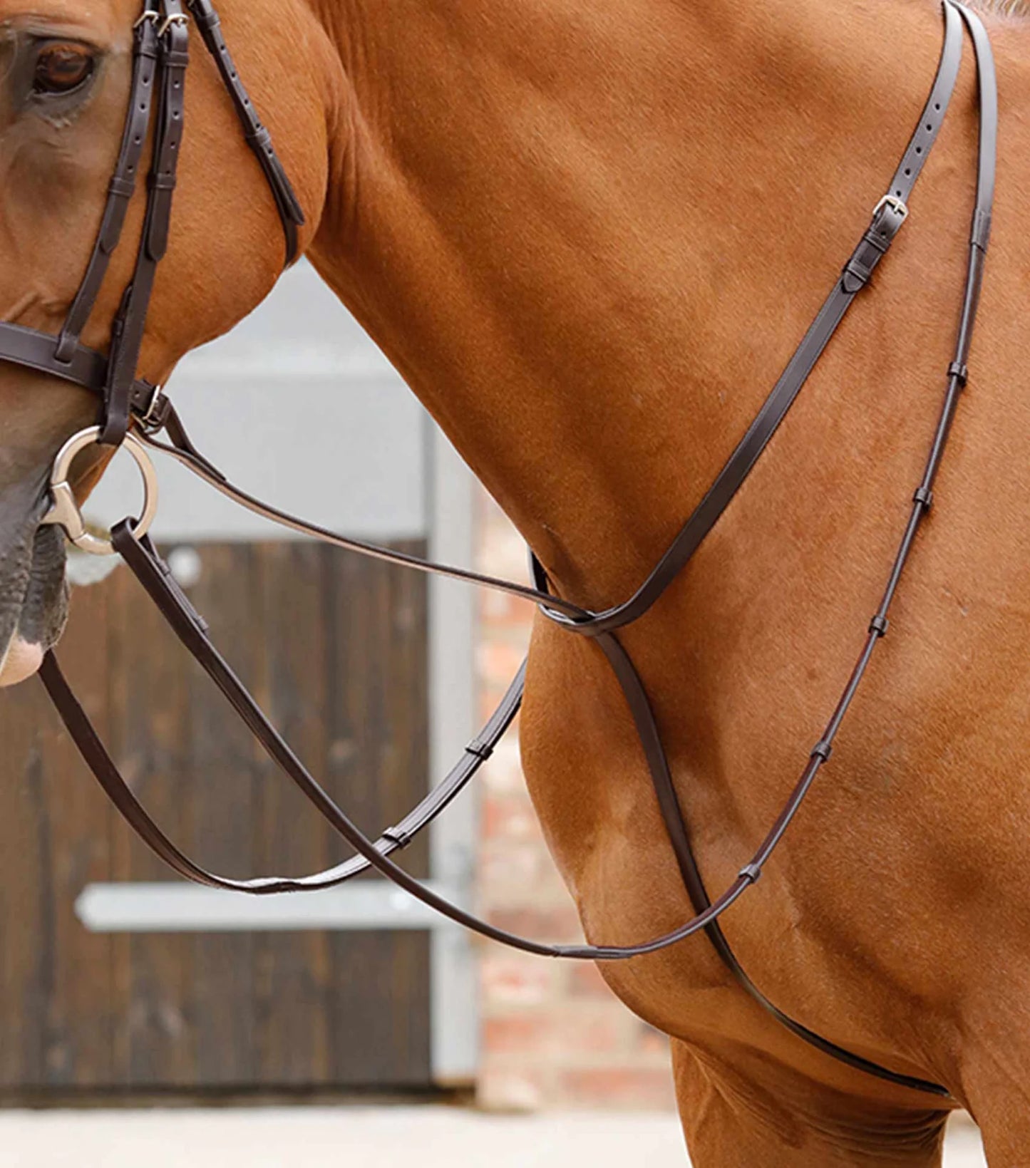 Martingale fixe PREMIER EQUINE Gressan