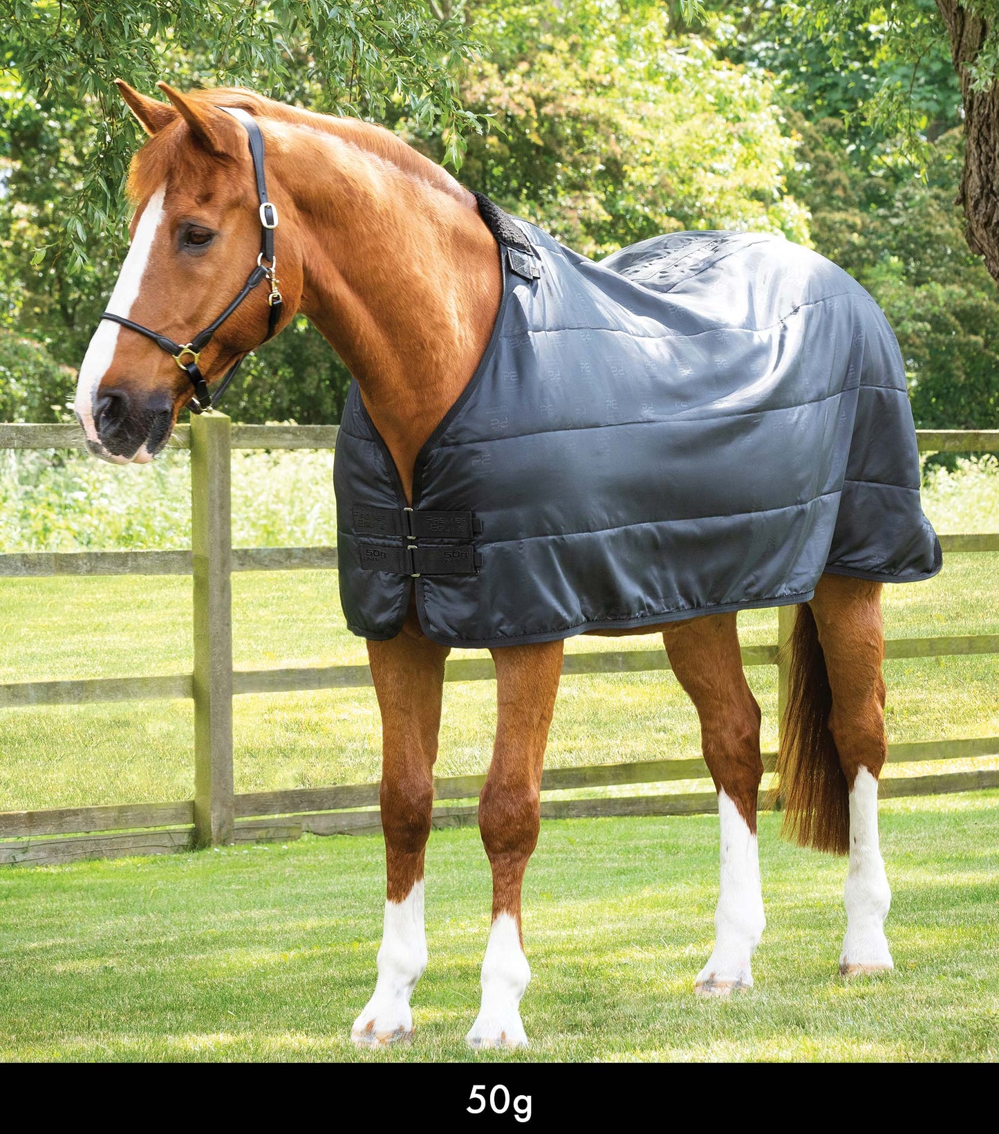 Liner PREMIER EQUINE 50g, 100g, 200g ou 350g