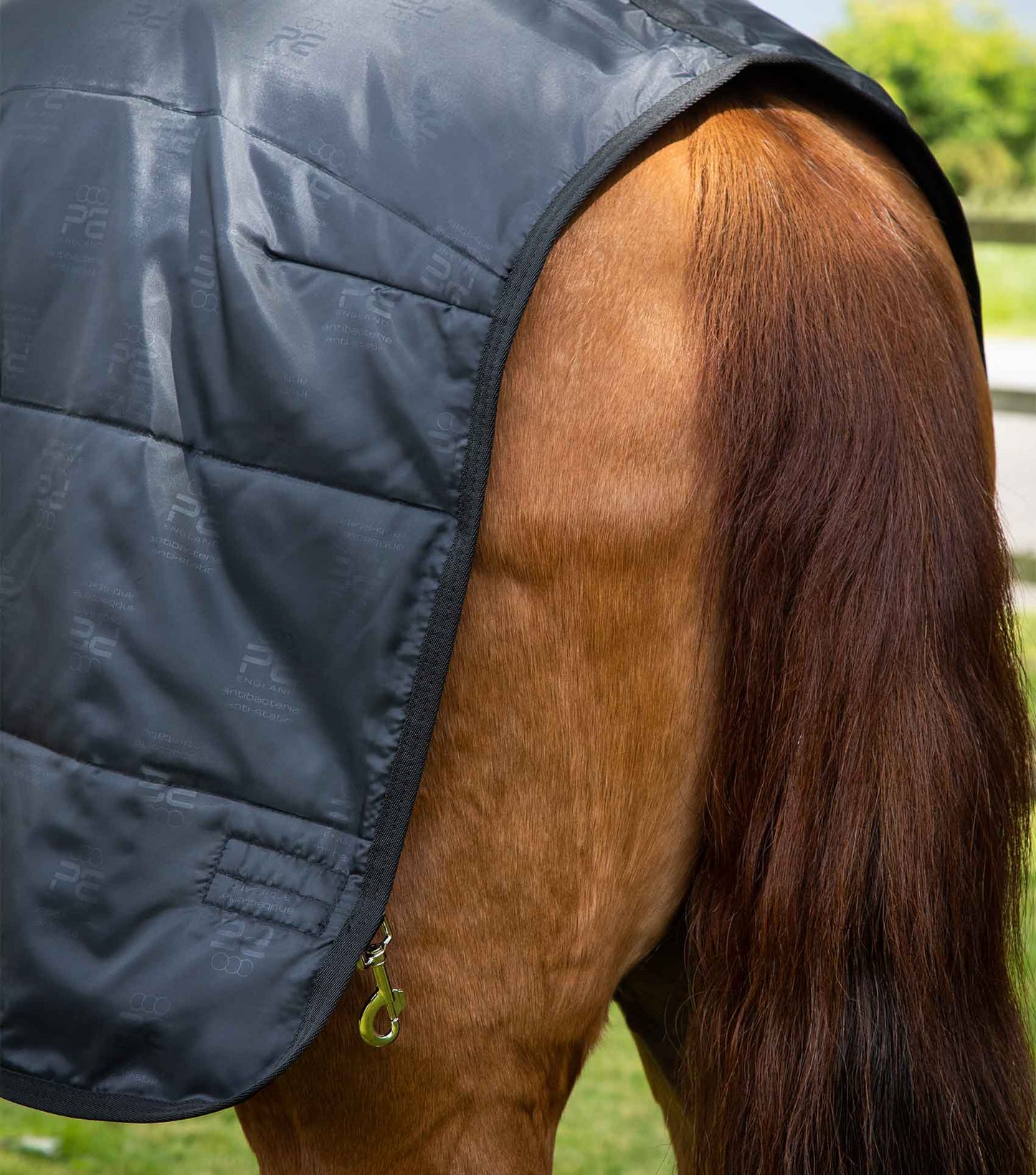 Liner PREMIER EQUINE 50g, 100g, 200g ou 350g