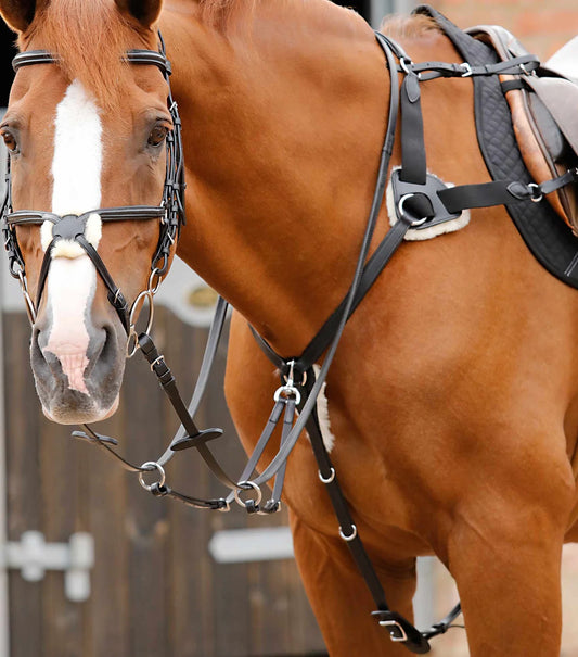 Collier de chasse PREMIER EQUINE à 5 points Invorio