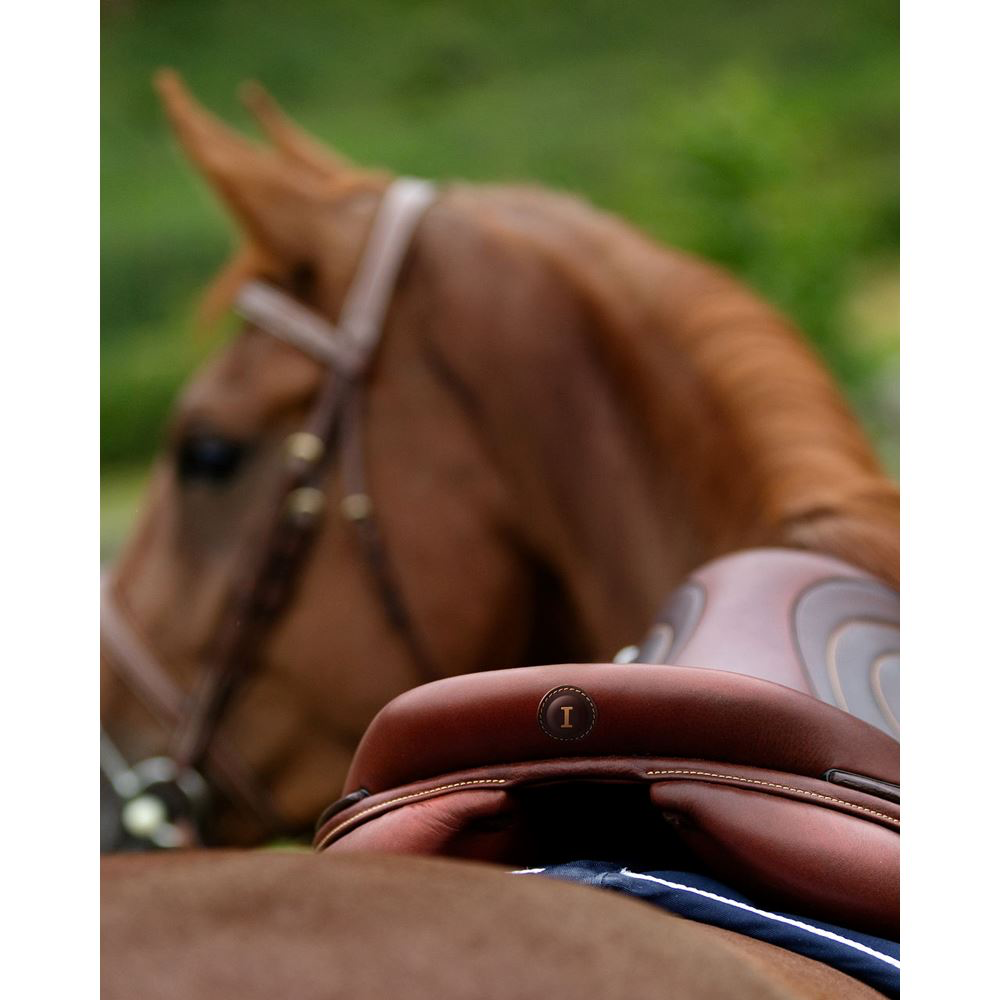 Selle d’obstacle Evolution All In Balance