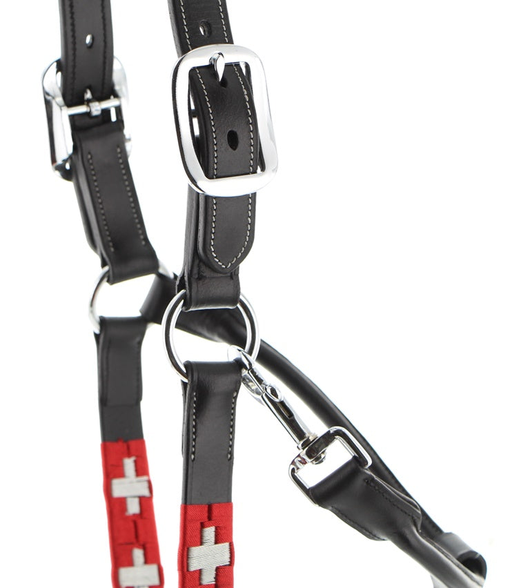 Licol en cuir Swiss Flag