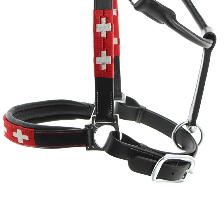 Licol en cuir Swiss Flag