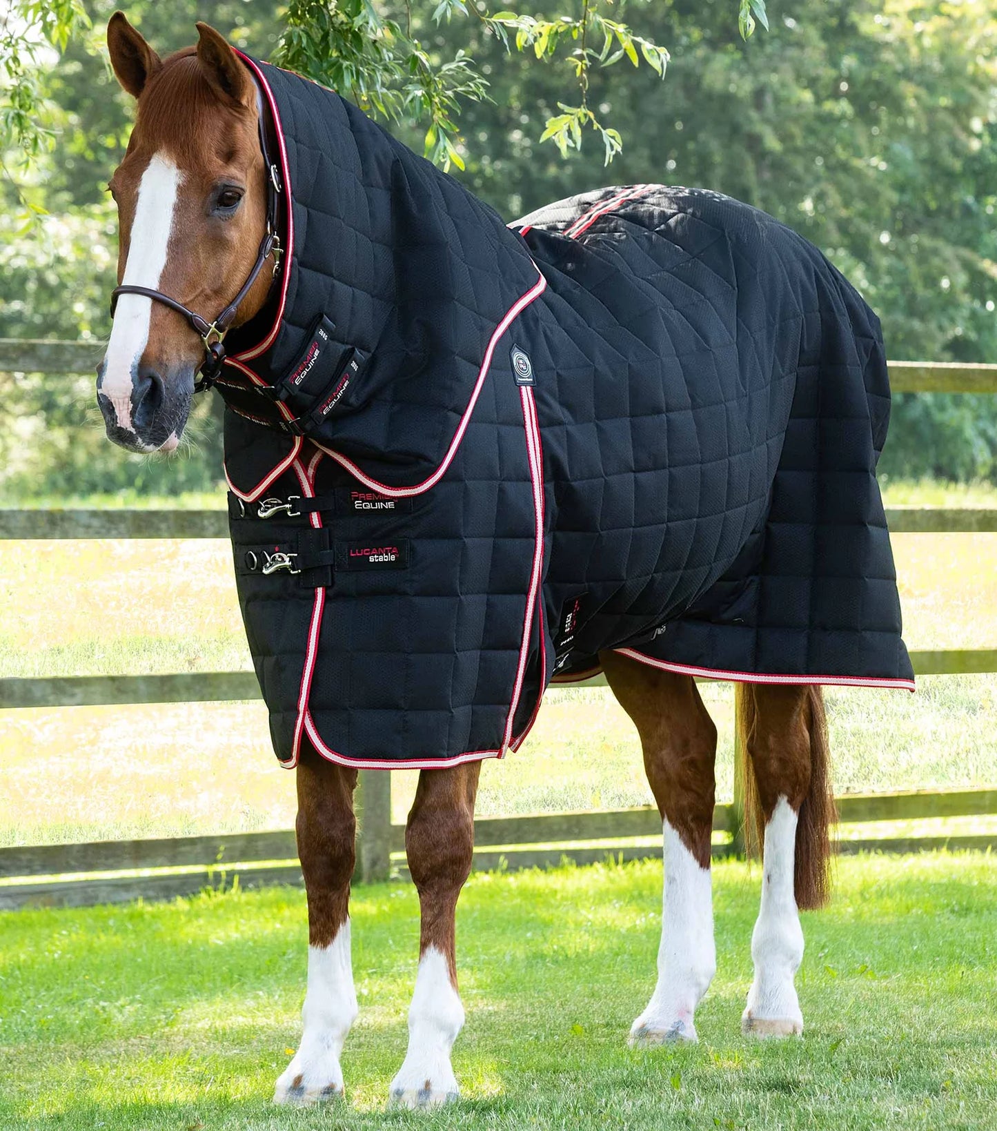 Couverture d'écurie PREMIER EQUINE Lucanta 600D 200g avec couvre-cou amovible