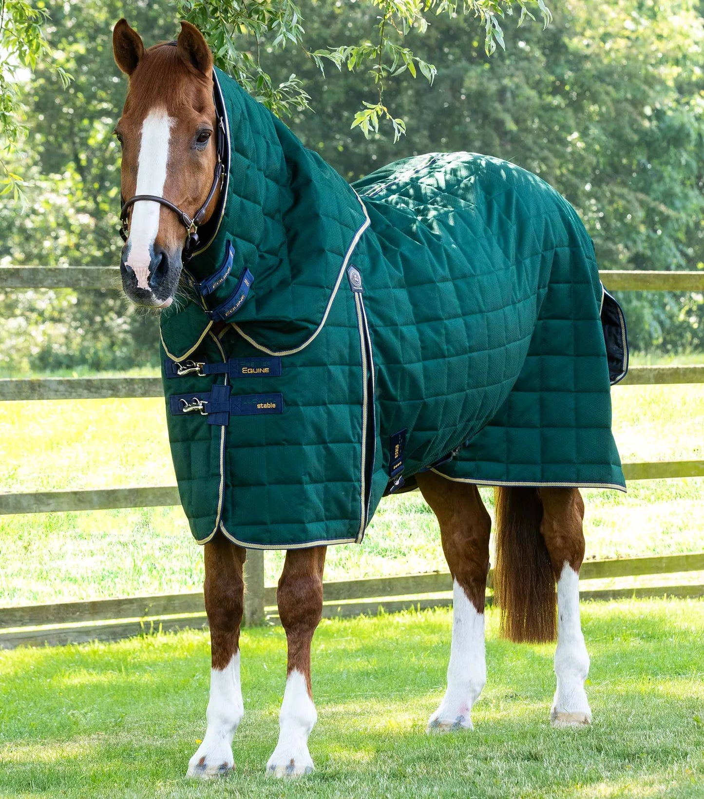 Couverture d'écurie PREMIER EQUINE Lucanta 600D 200g avec couvre-cou amovible