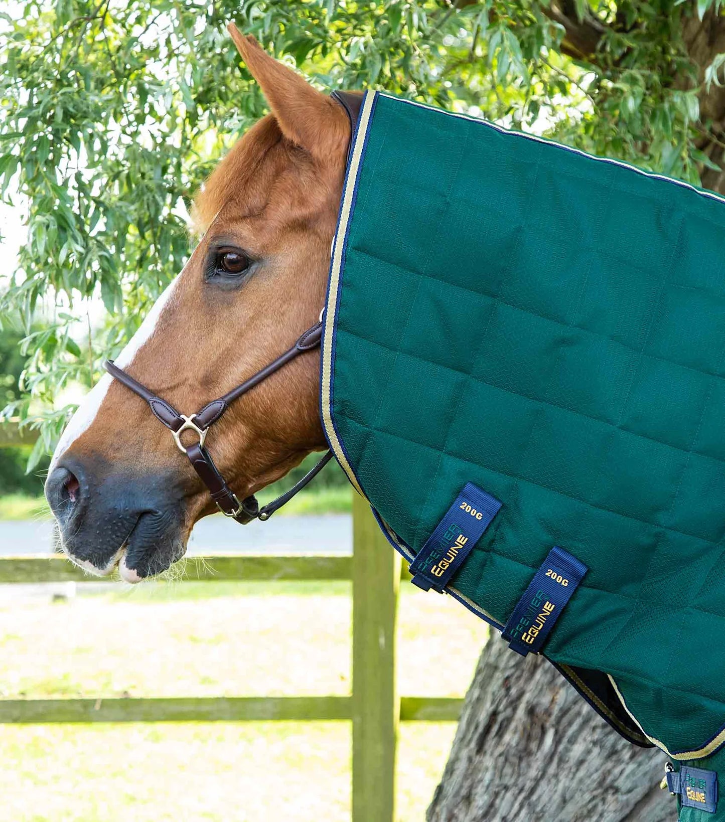 Couverture d'écurie PREMIER EQUINE Lucanta 600D 200g avec couvre-cou amovible