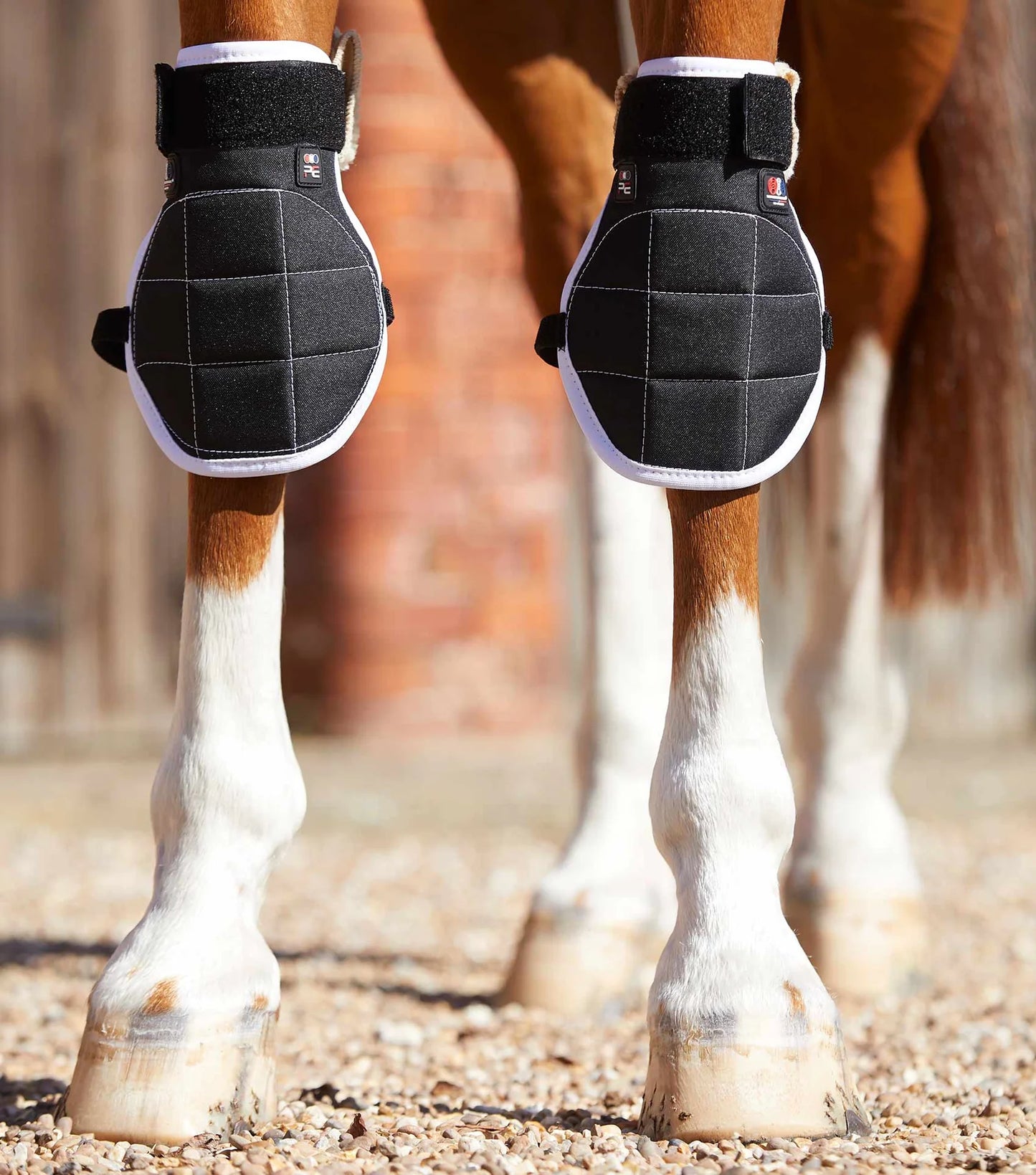 Genouillères magnétiques PREMIER EQUINE Magni-Teque