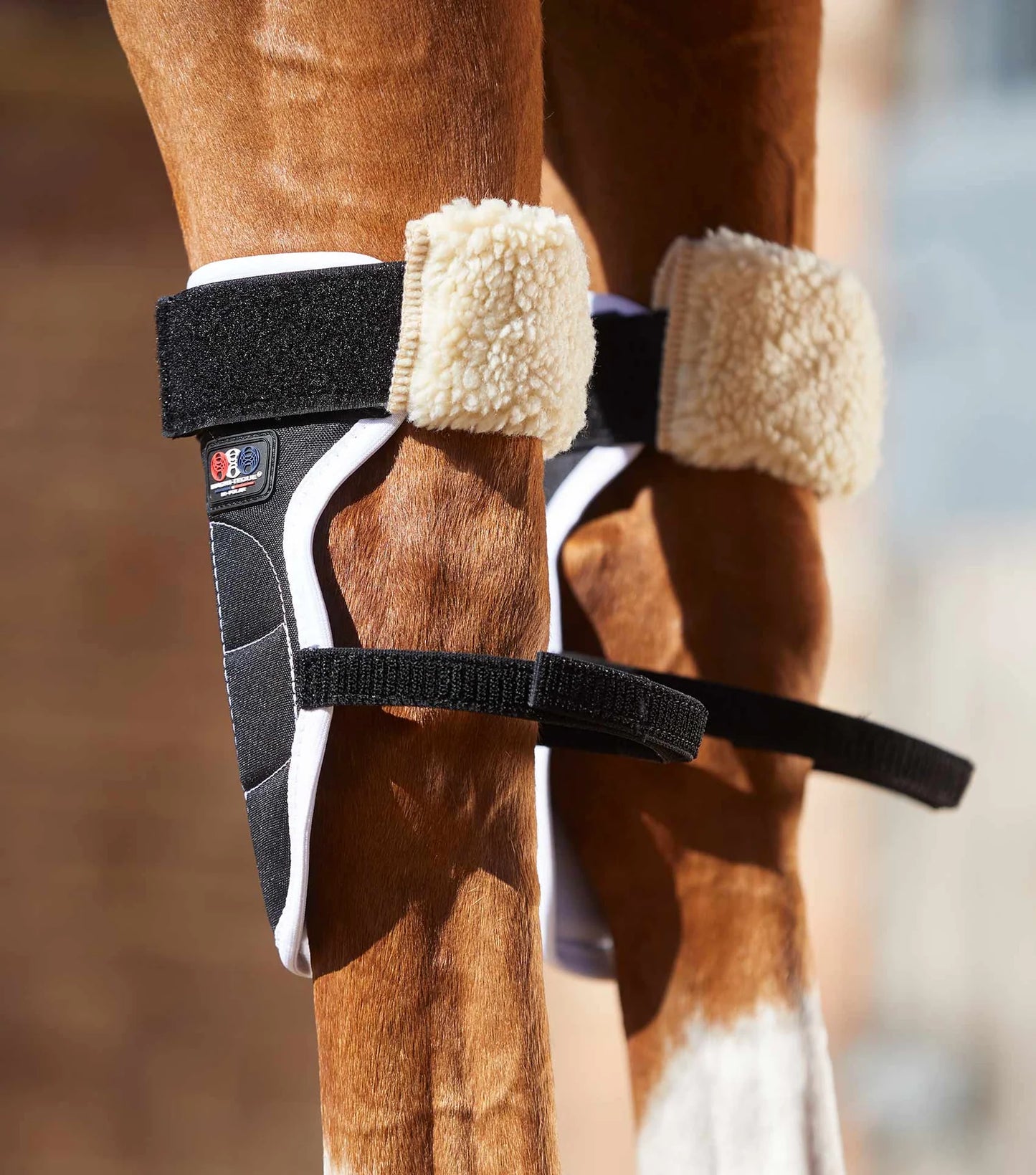 Genouillères magnétiques PREMIER EQUINE Magni-Teque