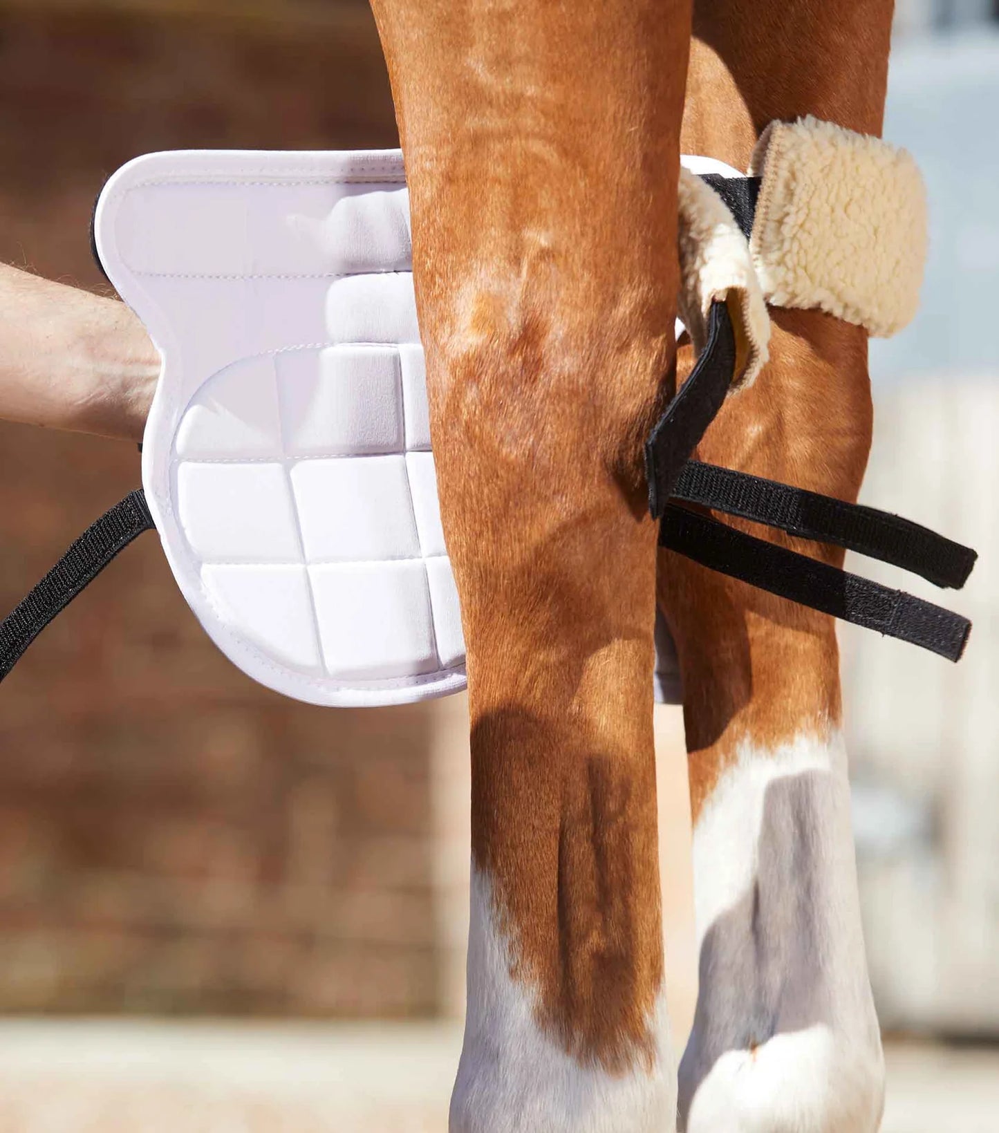 Genouillères magnétiques PREMIER EQUINE Magni-Teque