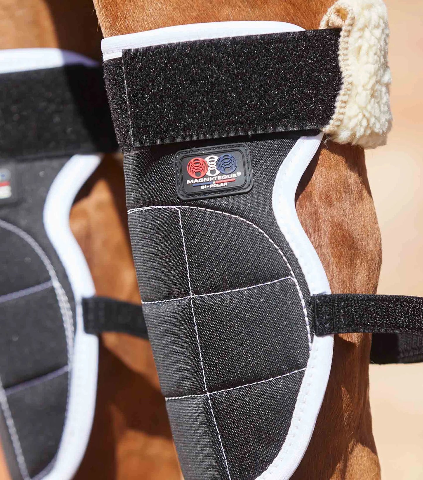 Genouillères magnétiques PREMIER EQUINE Magni-Teque