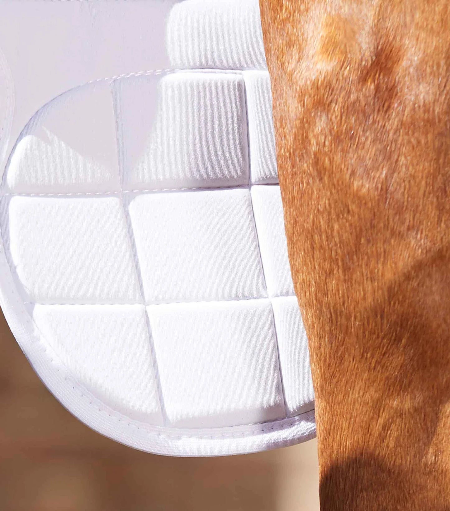 Genouillères magnétiques PREMIER EQUINE Magni-Teque