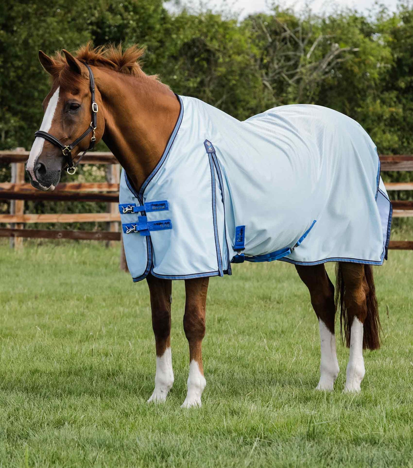 Couverture PREMIER EQUINE Mesh Air Fly avec sursangles