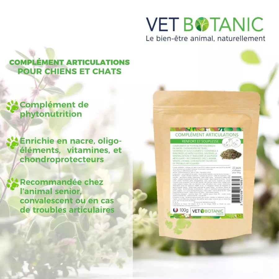 COMPLEMENT ARTICULATIONS – Renfort et souplesse chiens et chats