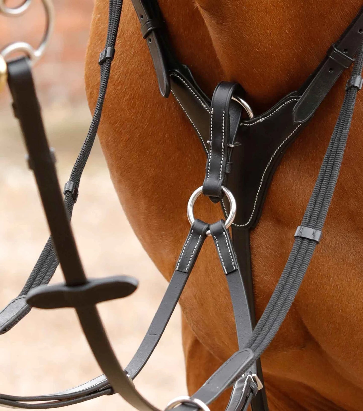 Collier de chasse PREMIER EQUINE Norbello