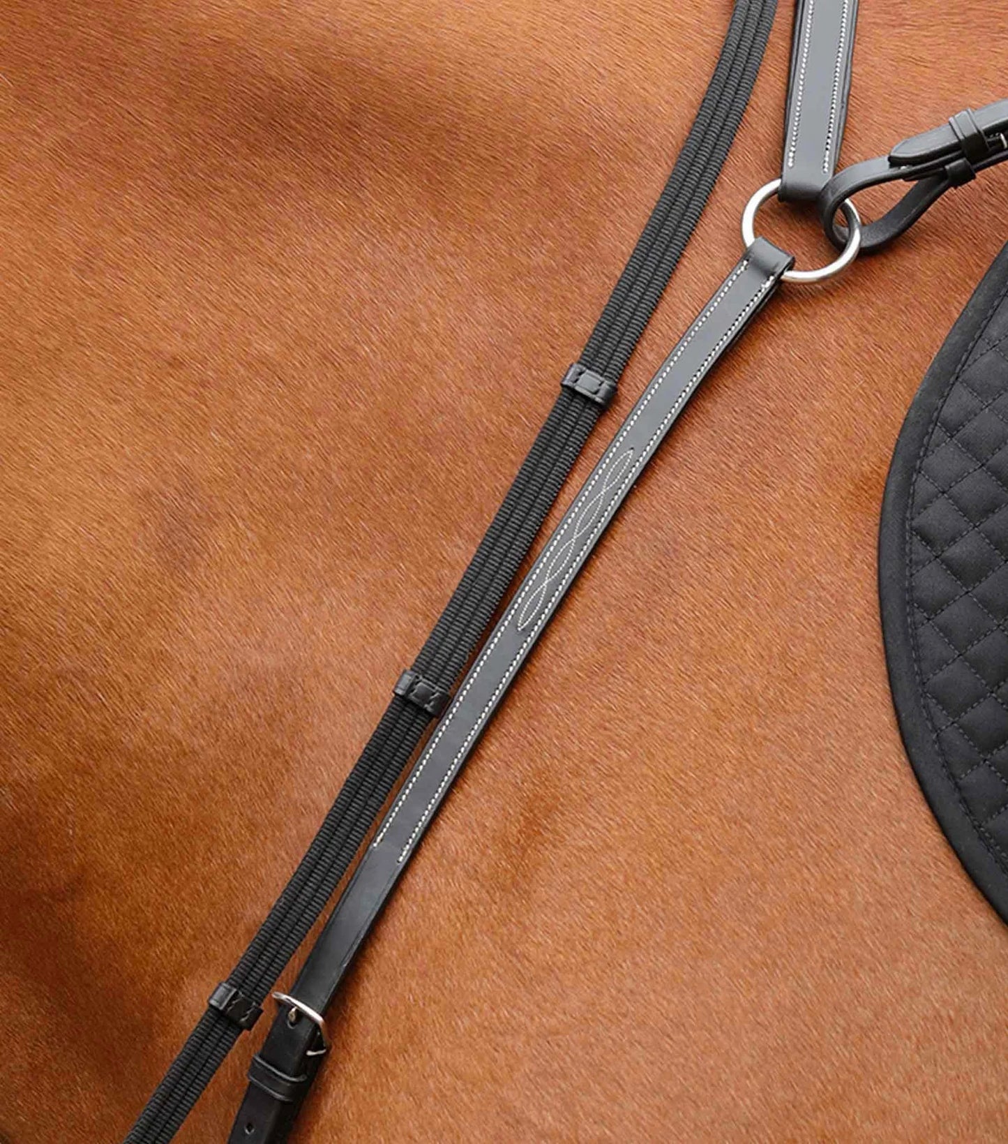 Collier de chasse PREMIER EQUINE Norbello