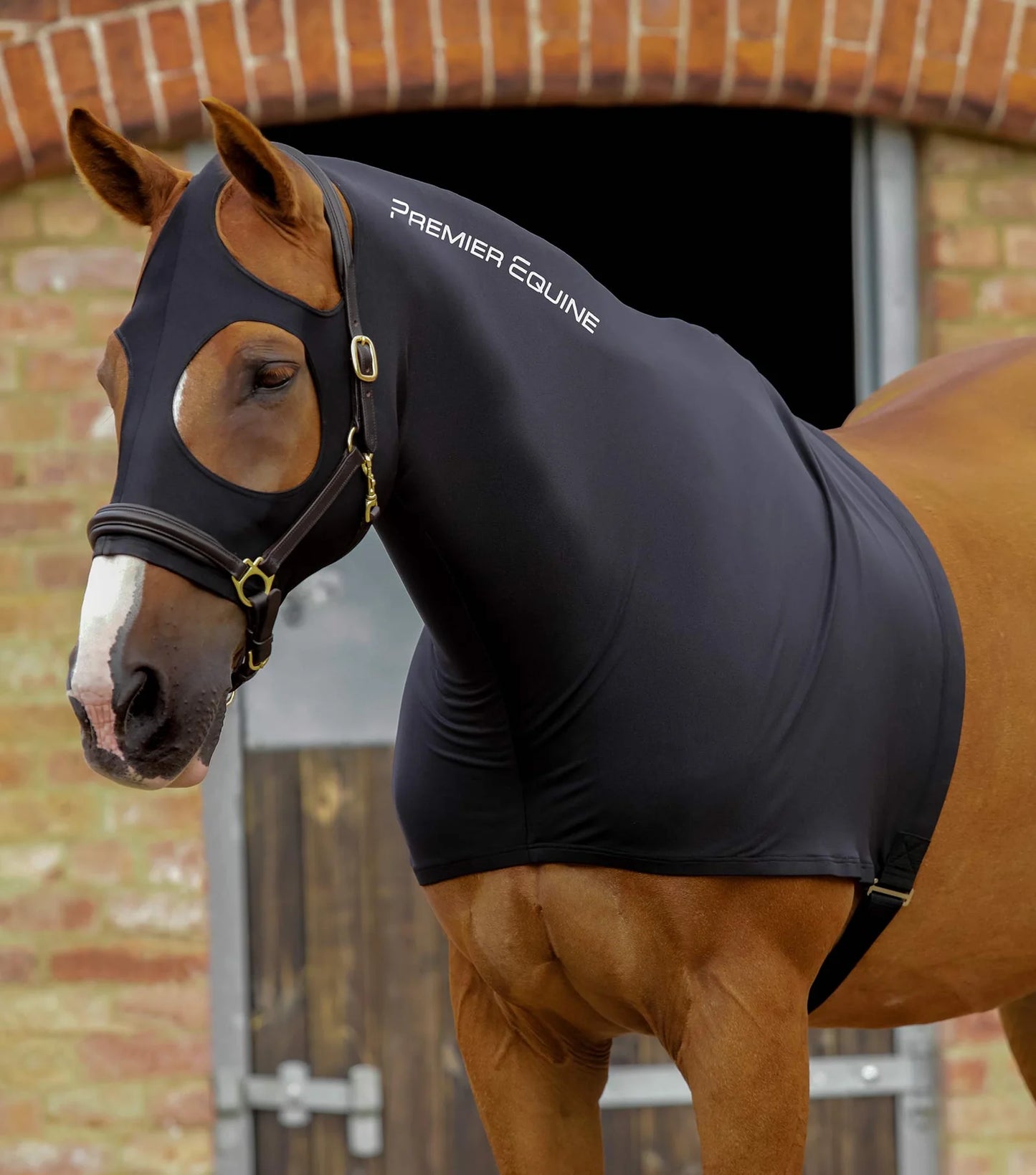 Cagoule PREMIER EQUINE Stretch Lycra