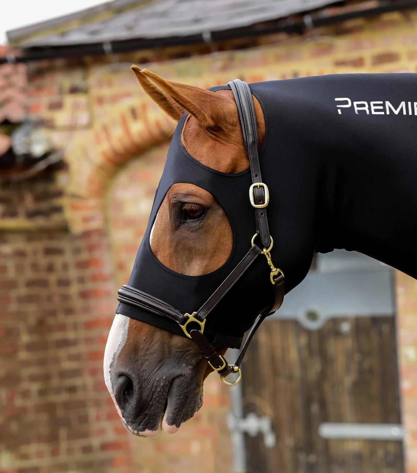 Cagoule PREMIER EQUINE Stretch Lycra