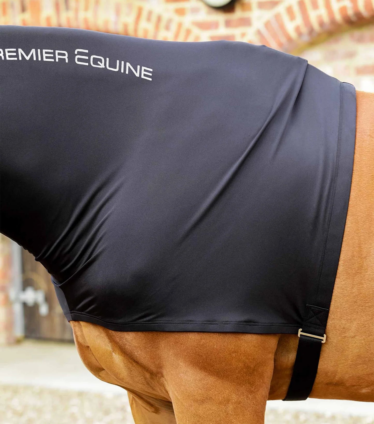 Cagoule PREMIER EQUINE Stretch Lycra