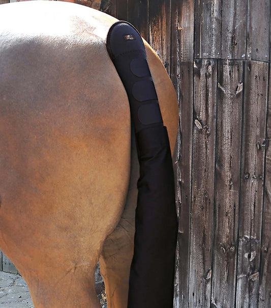 Protège-queue PREMIER EQUINE rembourré avec sac à queue