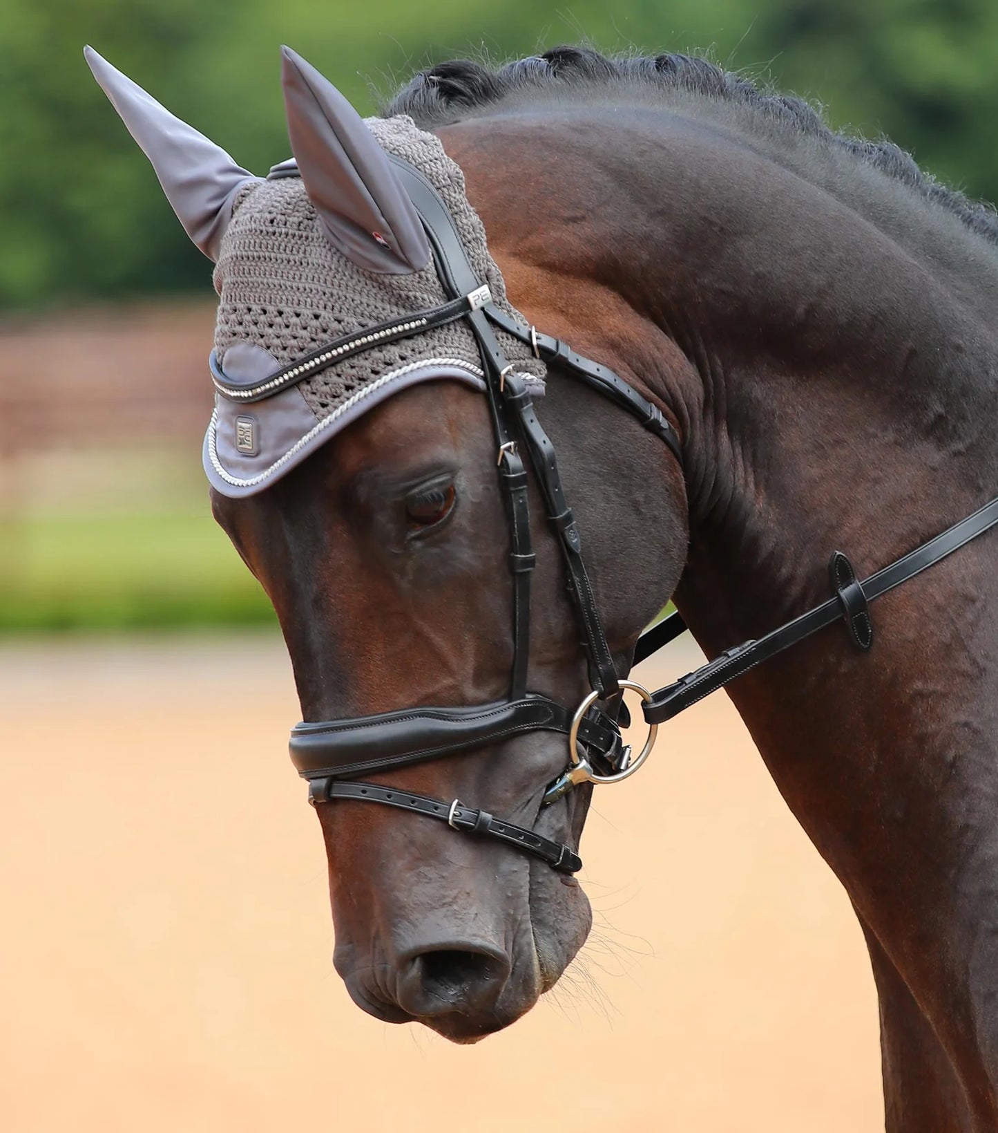 Bonnet PREMIER EQUINE Salto