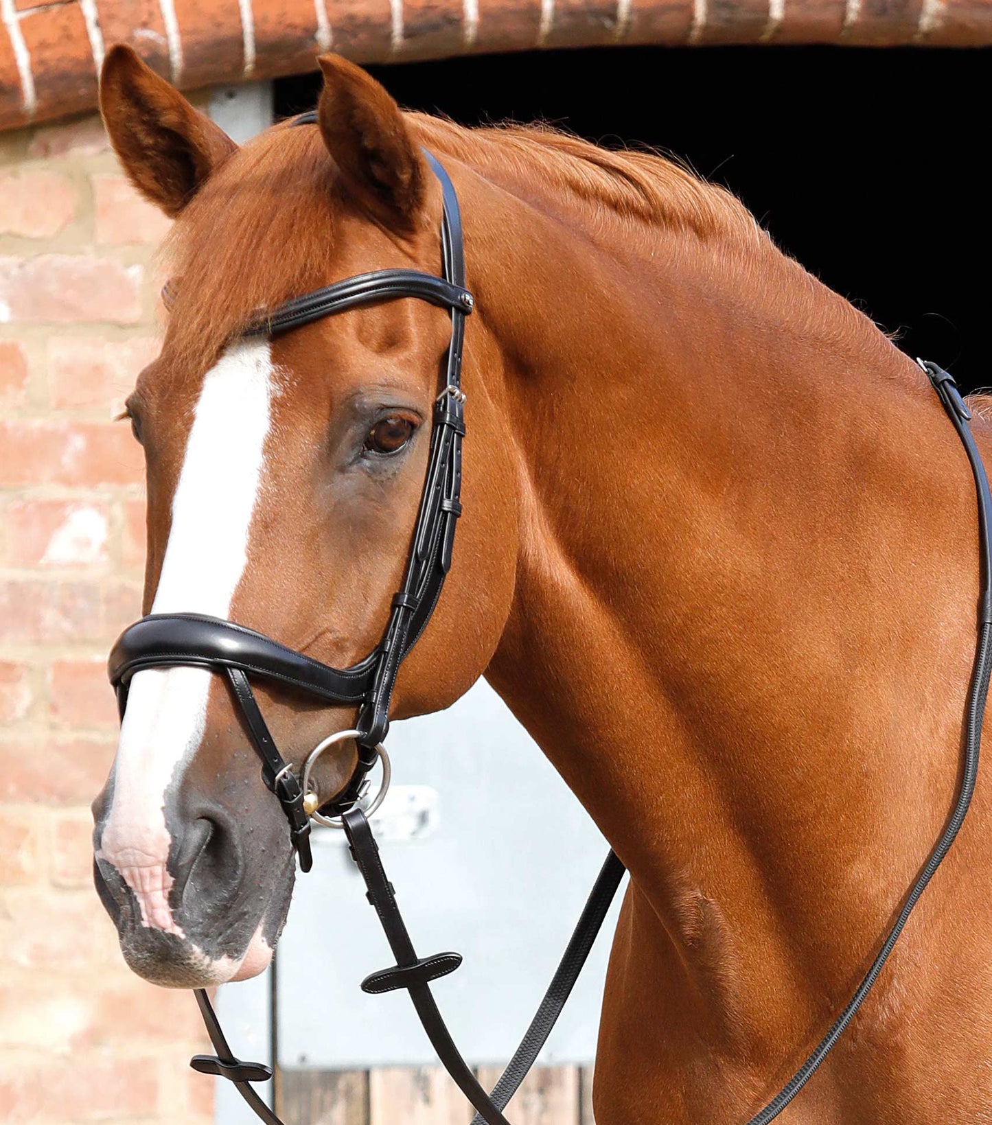 Bridon anatomique PREMIER EQUINE Savuto