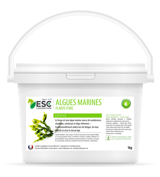 ALGUES MARINES ESC – Fatigue et baisse de forme cheval – Plante pure